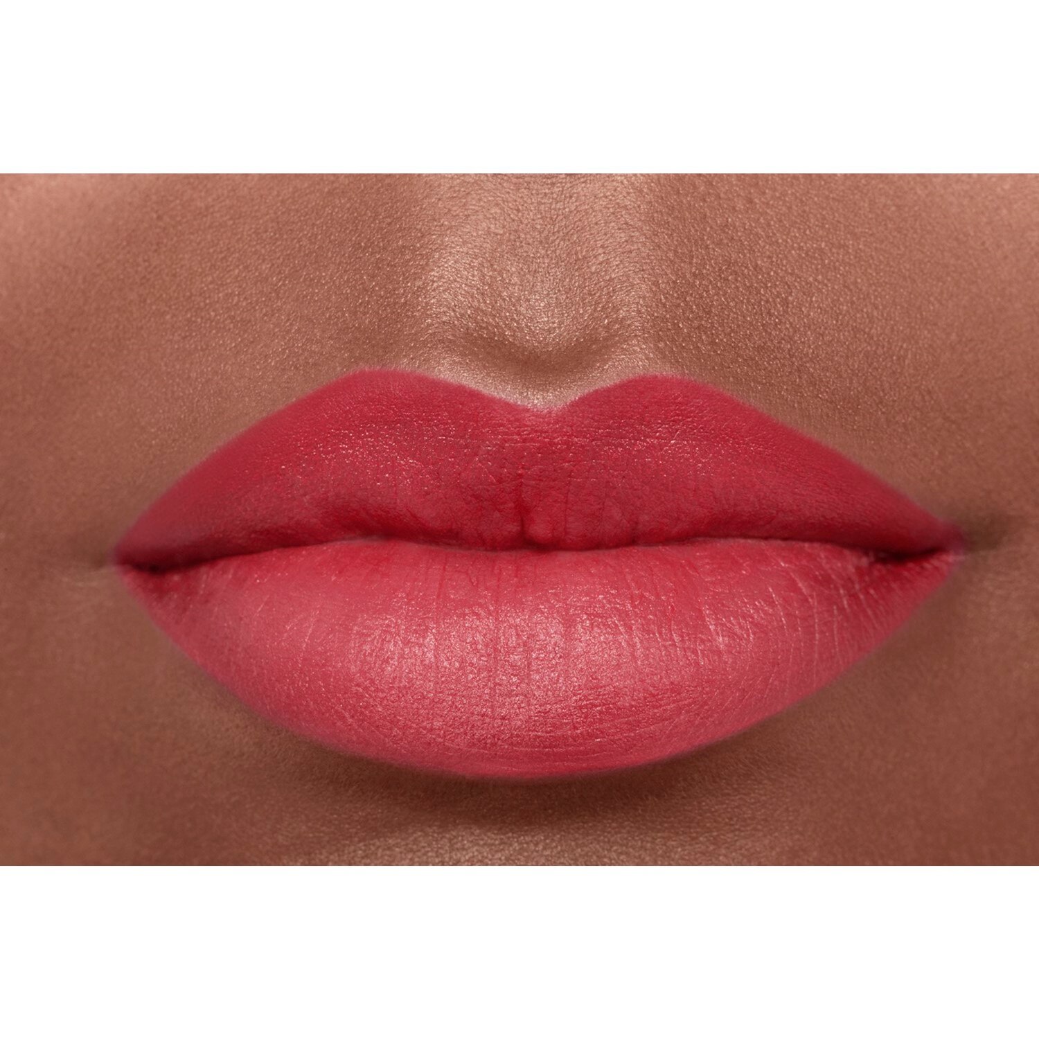 LA BARRA DE LABIOS ATERCIOPELADA LUMINOSA